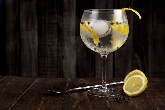 Aalborg Gin festival 2025 - Gin & Tonic ad libitum