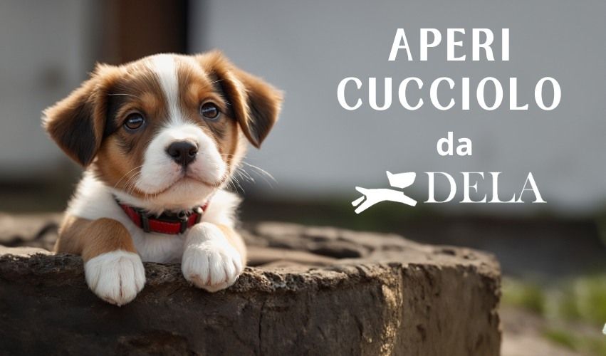 APERI - CUCCIOLO