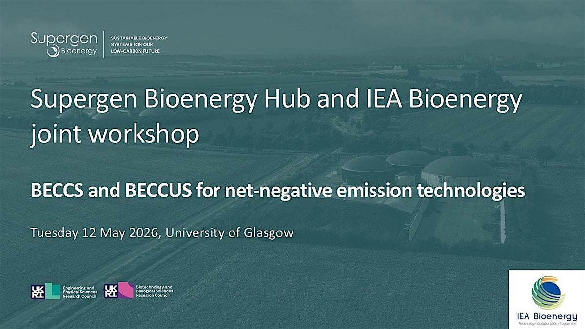 BECCS and BECCUS for net-negative emission technologies