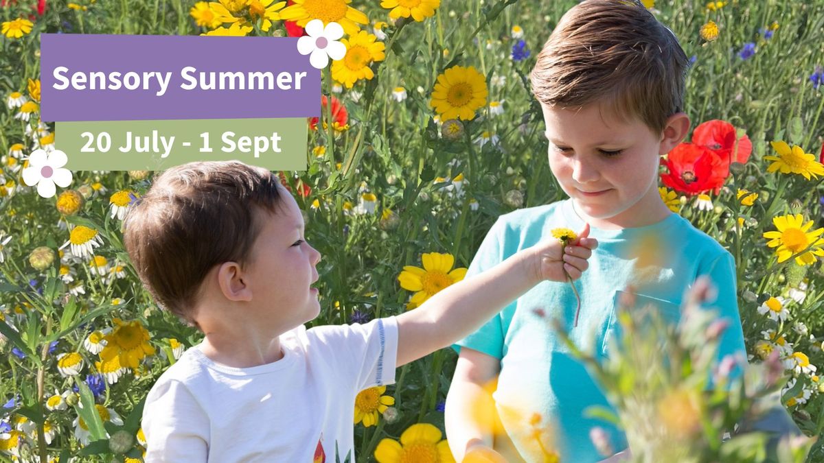 Sensory Summer at Thrift Farm