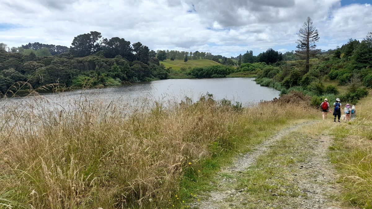 Tutaenui Reservoir Walk 