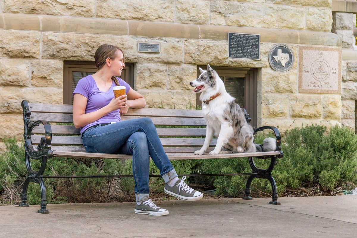 Agility Seminars with Meagan Johnson