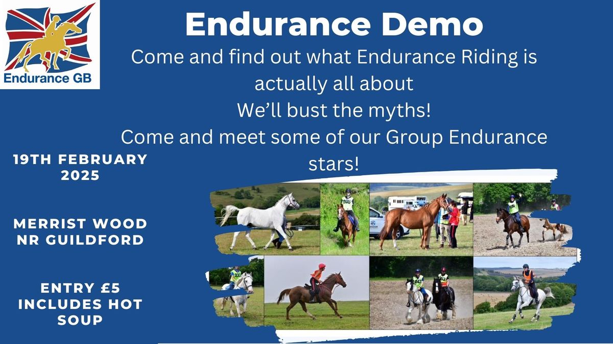 Introduction to Endurance Riding 