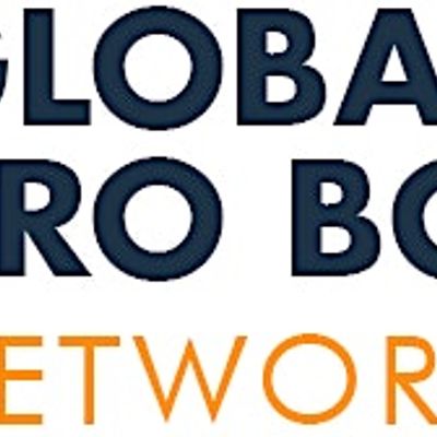 Global Pro Bono Network