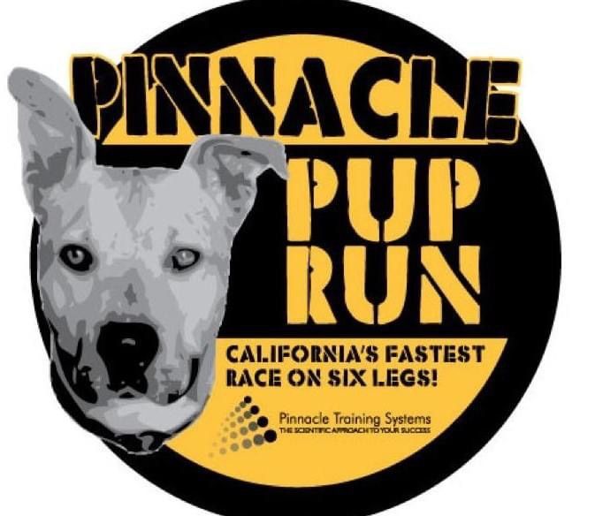 PINNACLE PUP RUN 