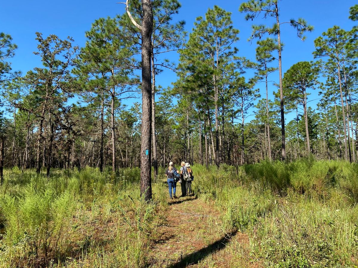 Guided Hike at Perry Oldenburg WEA