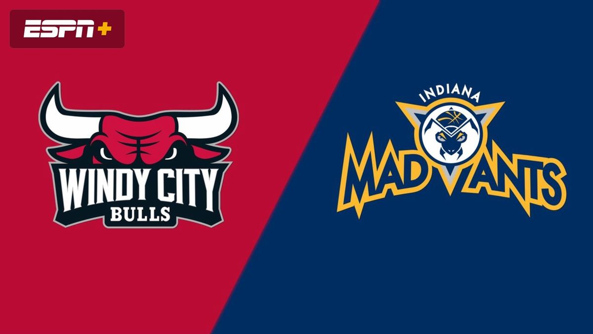 Windy City Bulls at Indiana Mad Ants