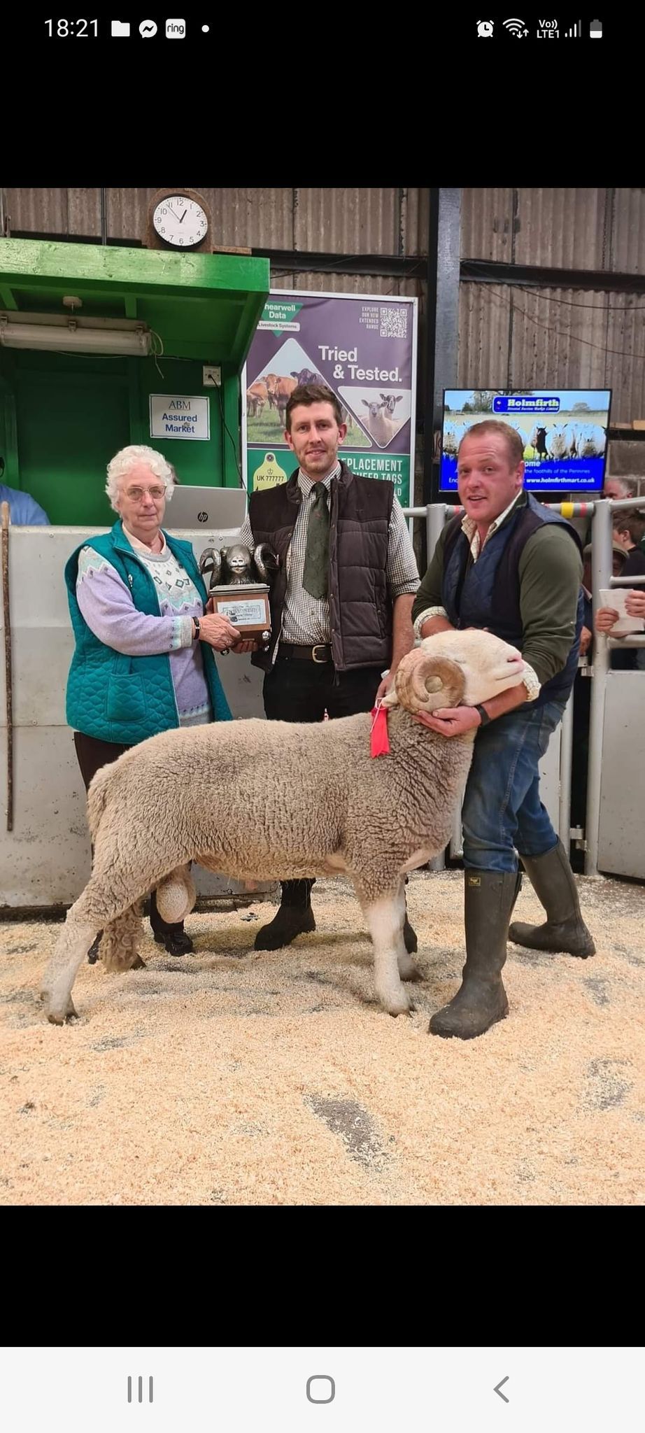 Whitefaced Woodland Sheep Society Annual Show and Sale 