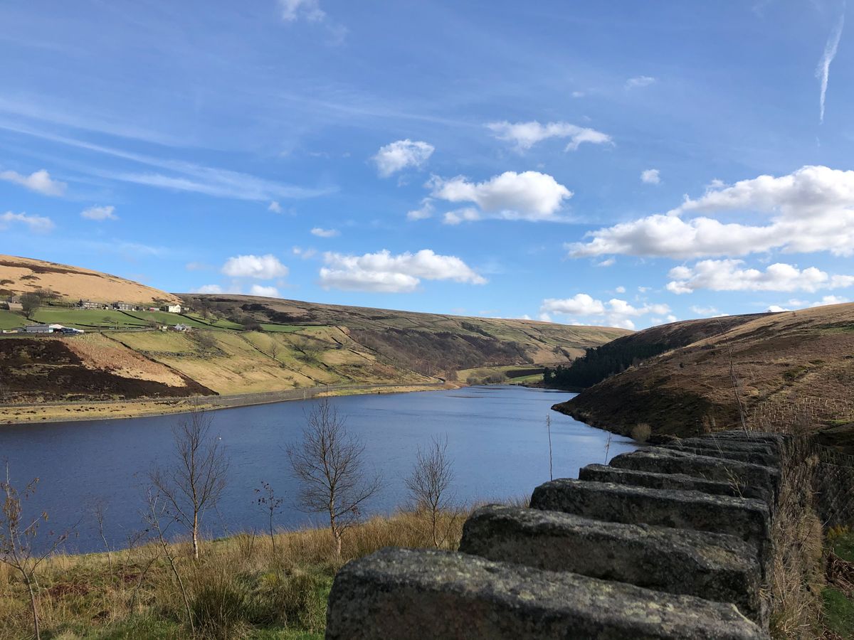 Guided walk: Ten Reservoir Walk