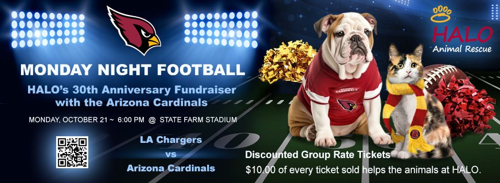 HALO's 30th Anniversary Fundraiser with the AZ Cardinals