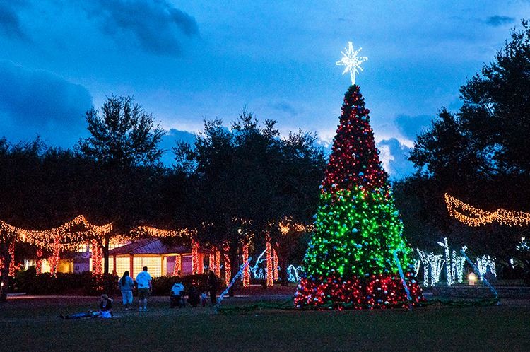 Holiday Tree Lighting & Strolling Market