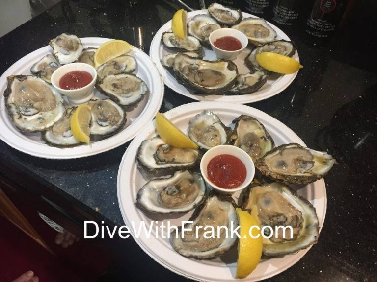 Oyster Dive - November 2024 Day Before Thanksgiving