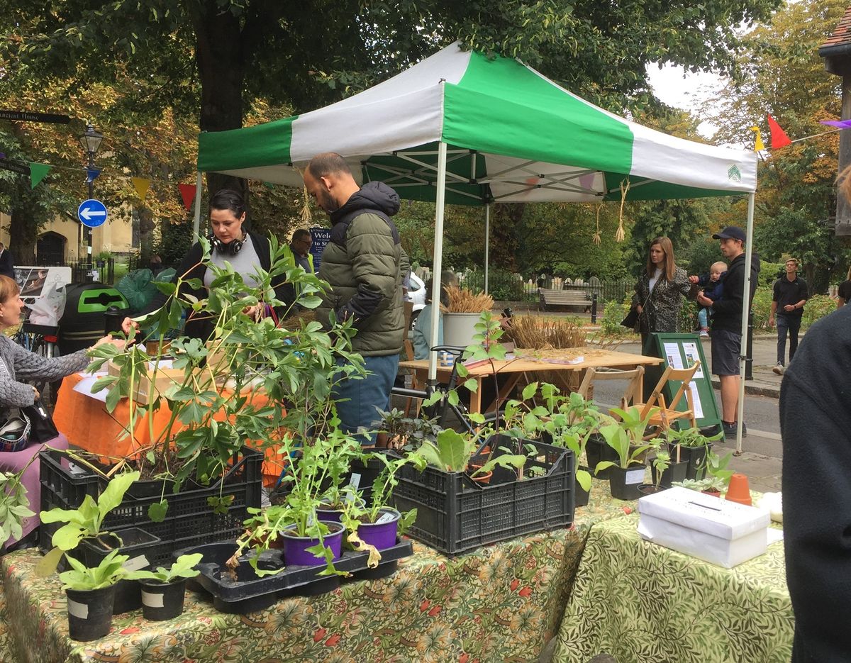 Plant, Seed, Produce & Pot Swap, BEE17 Honey Stall & Meadow Reaping