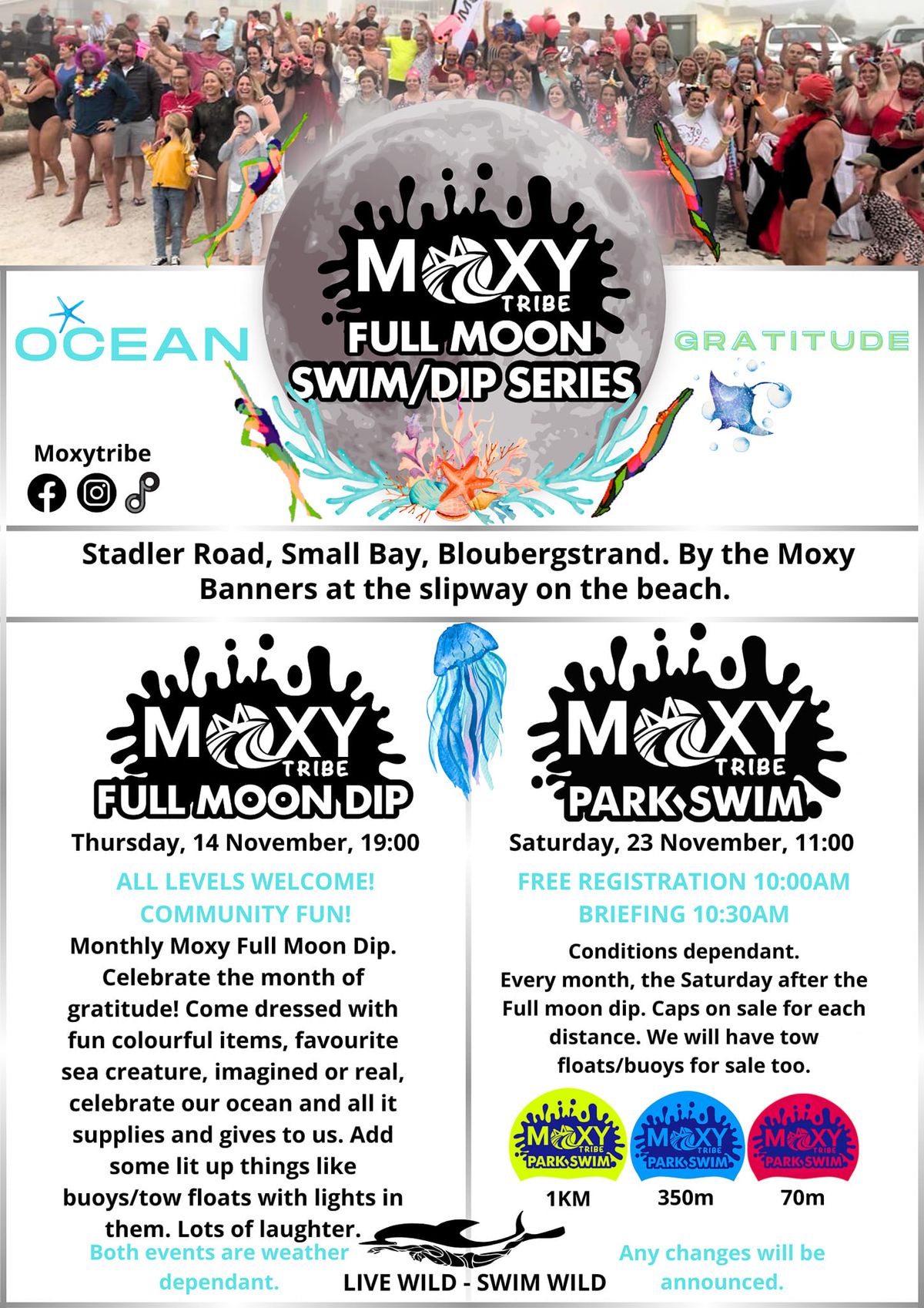 Moxy Tribe Full Moon Dip