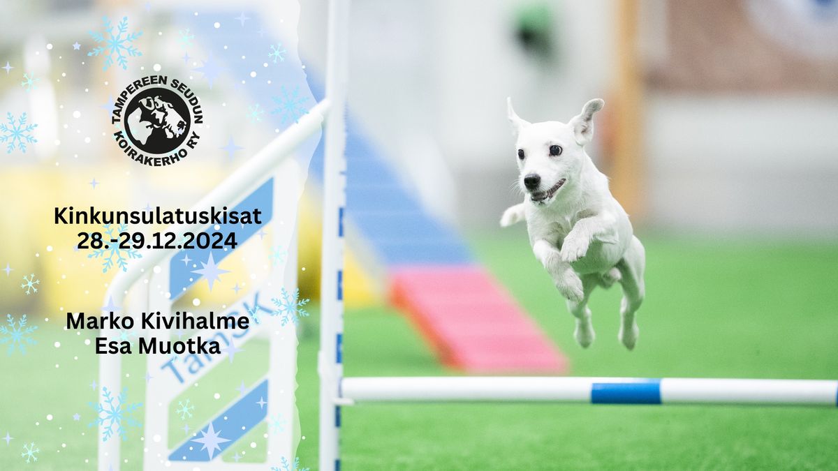 TamSKin kinkunsulatuskisat 2024