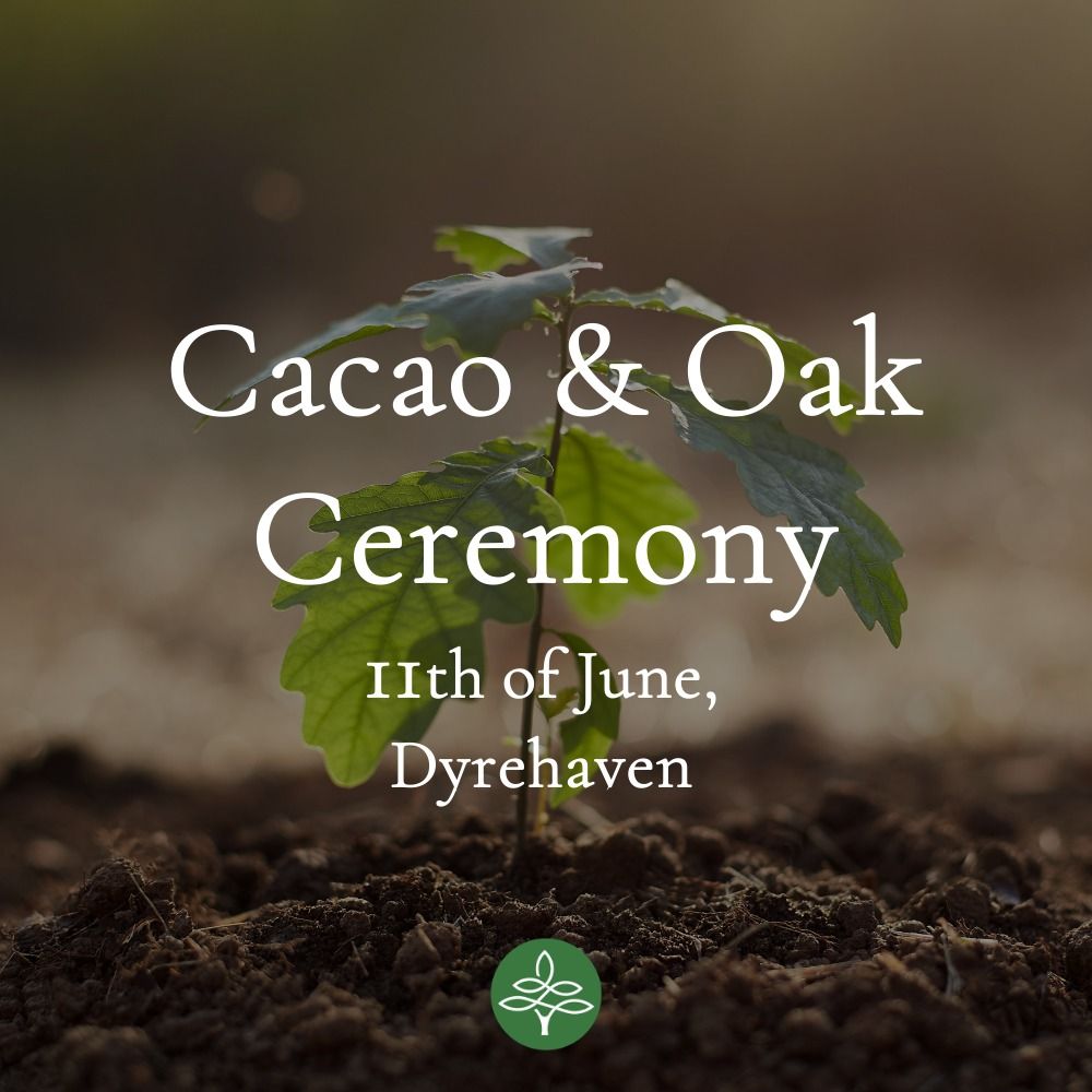 Oak & Cacao Ceremony