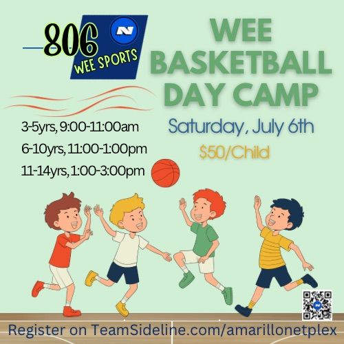 Wee Basketball Day Camp 