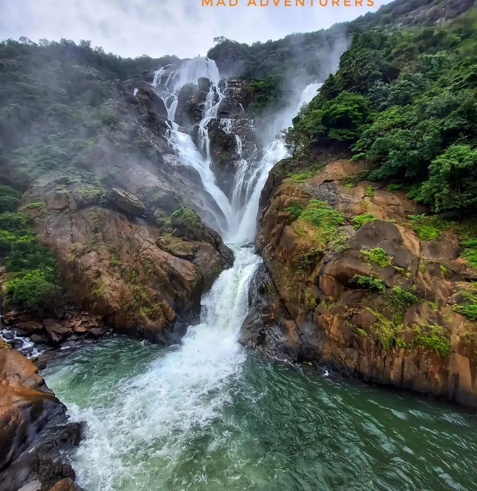 Trek To Dudhsagar Falls - Explore Dandeli @ 4950 (Batch-2)