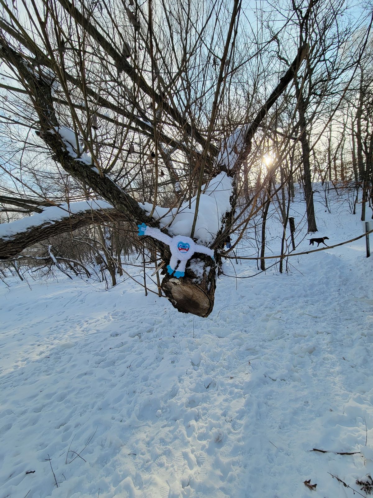 Great Minnetonka Yeti Hunt