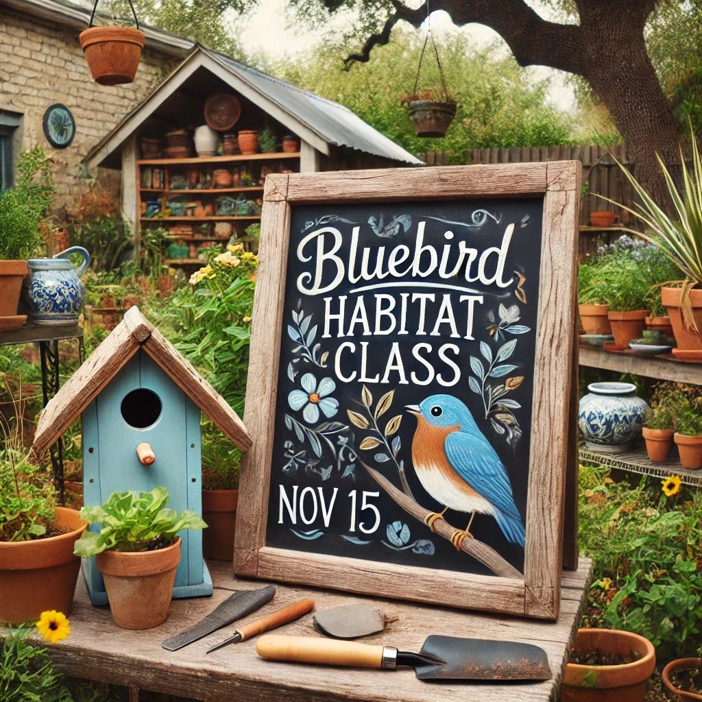 Bluebird Habitat Class