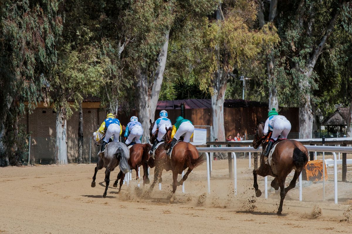 Carreras de Caballos, 4 de enero de 2025 - Hip\u00f3dromo de Pineda