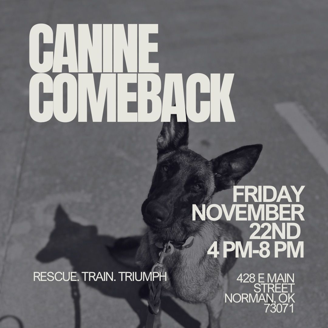 Canine Comeback: A Celebration of Strength and Second Chances