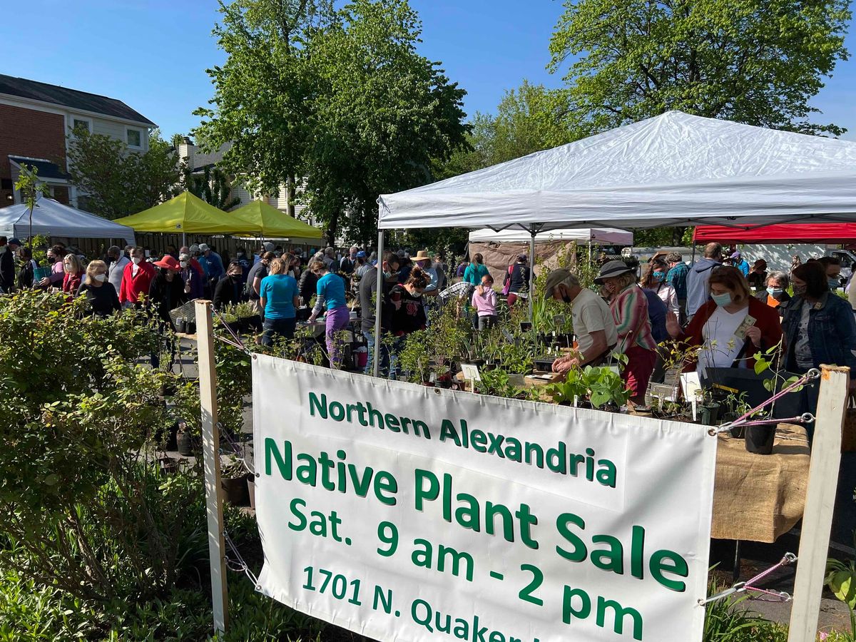 Fall 2024 Northern Alexandria Native Plant Sale