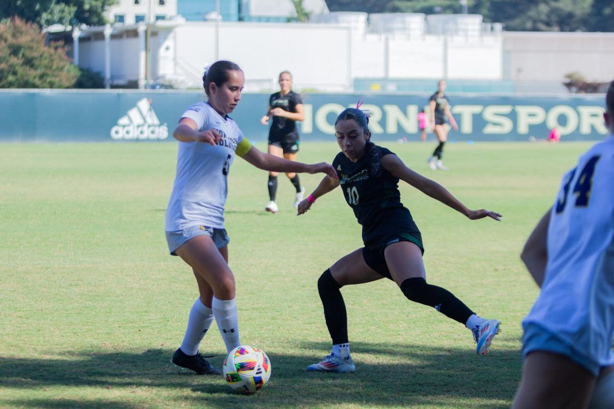 Northern Colorado Bears vs. Sacramento State Hornets