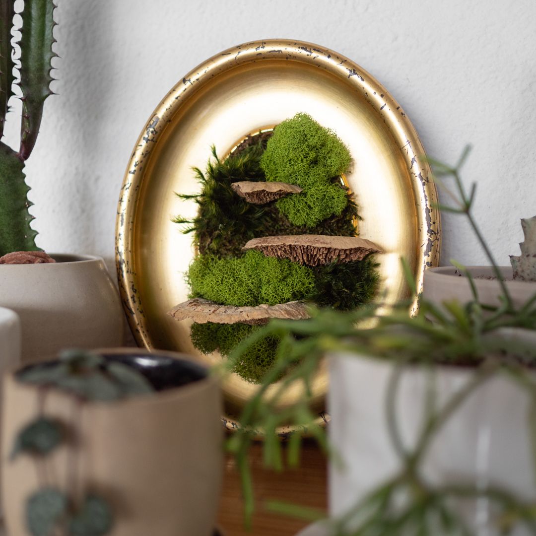 Moss Wall Art Workshop - BYO Frame