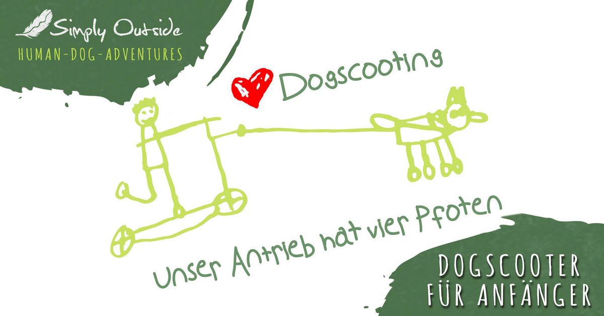 Dogscooting f\u00fcr Einsteiger