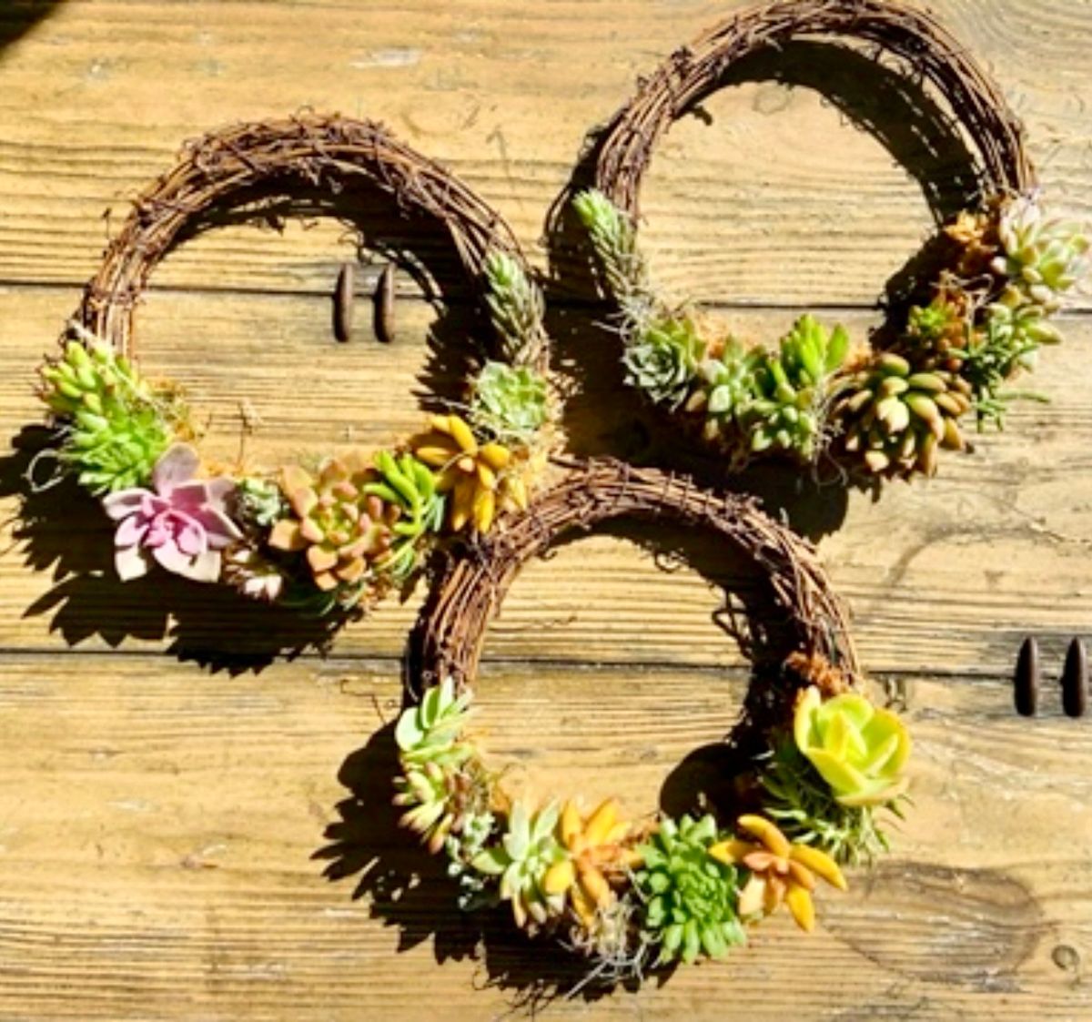 Christmas Succulent Wreath