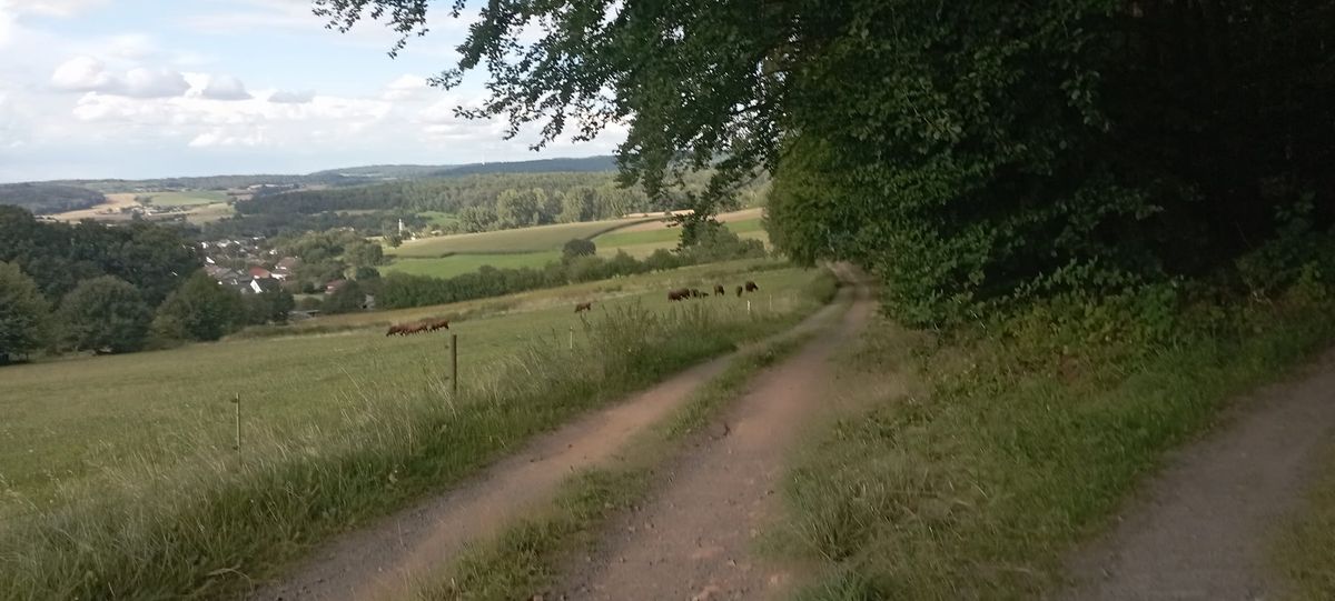 2. Otzberger Heidelberg- Ultra 48,6Km\/1000Hm