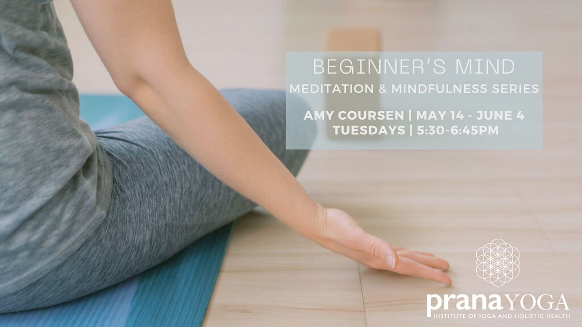 Beginner's Mind: Meditation & Mindfulness Series