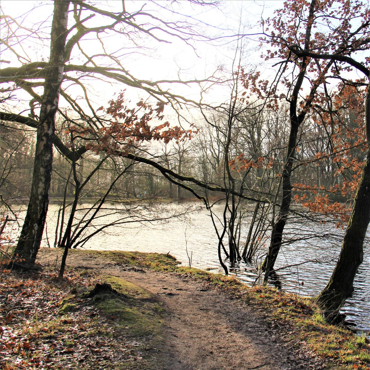 11. Sibirien Marathon am 08.02.2025