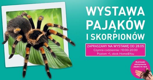 Wystawa Paj\u0105k\u00f3w w Gemini Park Bielsko-Bia\u0142a (otwarta do 31.08.2021)