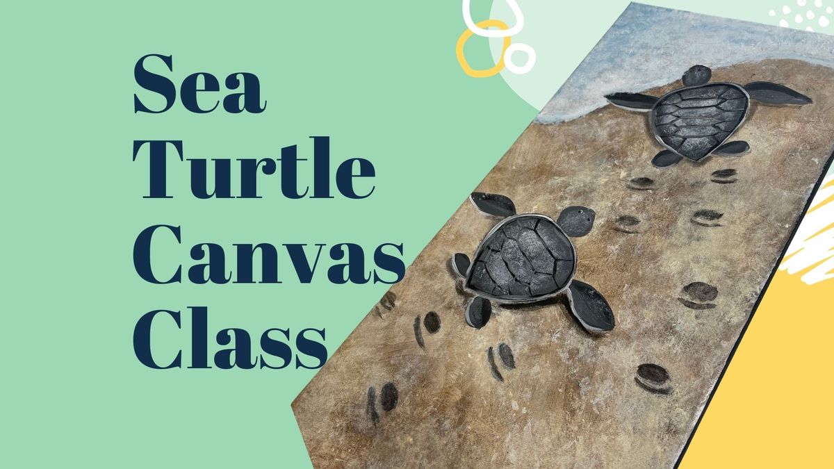 Sea Turtle Canvas Class