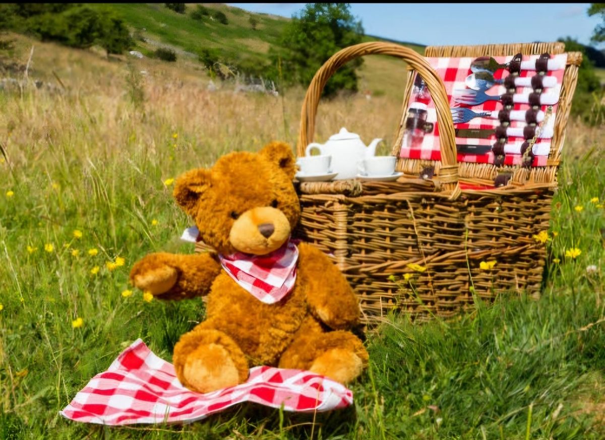 Maryburgh Teddy Bears Picnic 