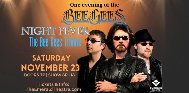 Night Fever - The Bee Gees Tribute