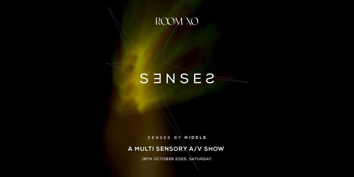 A Multi Sensory A\/V Show
