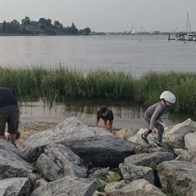 Waterbear Field School