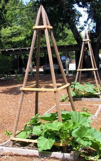 Class: Creating Your Own Garden Structures