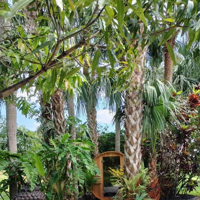 Jardin Secret Events