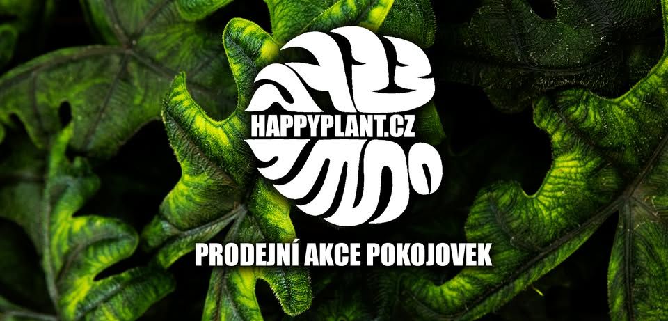 HAPPYPLANT Praha - Prodejn\u00ed akce pokojov\u00fdch rostlin