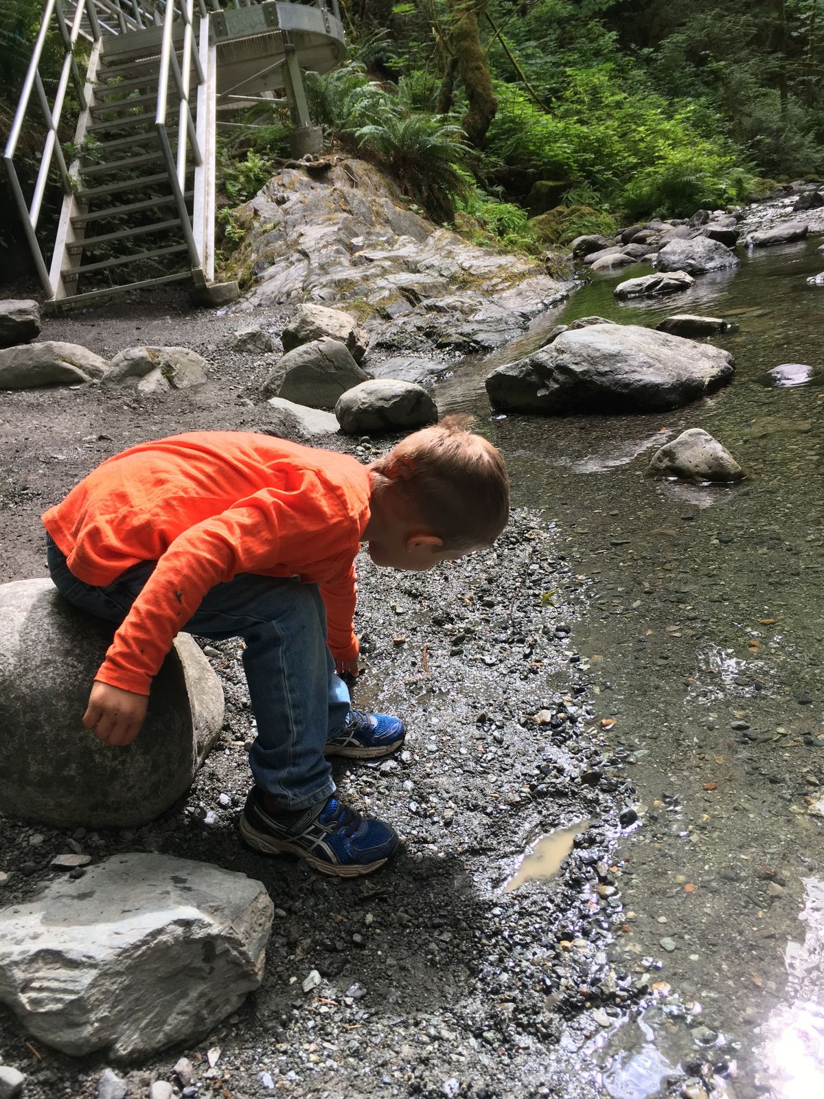 Preschool Drop-In Program - Becoming Scientists