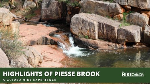 Highlights Of Piesse Brook | Rocky Pool Beginners Hike