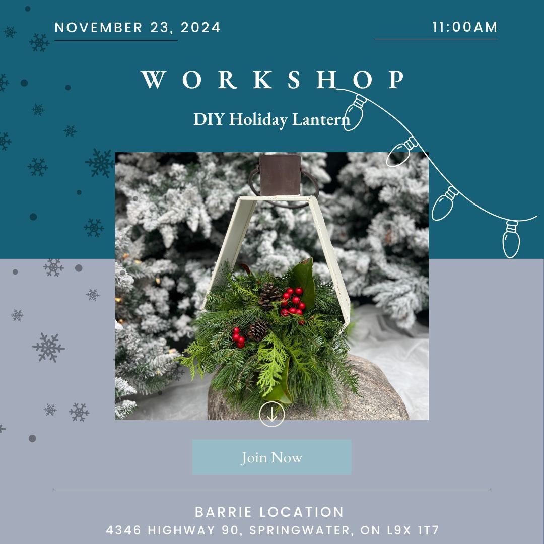 DIY Holiday Large Lantern Workshop Tickets (Barrie Location)