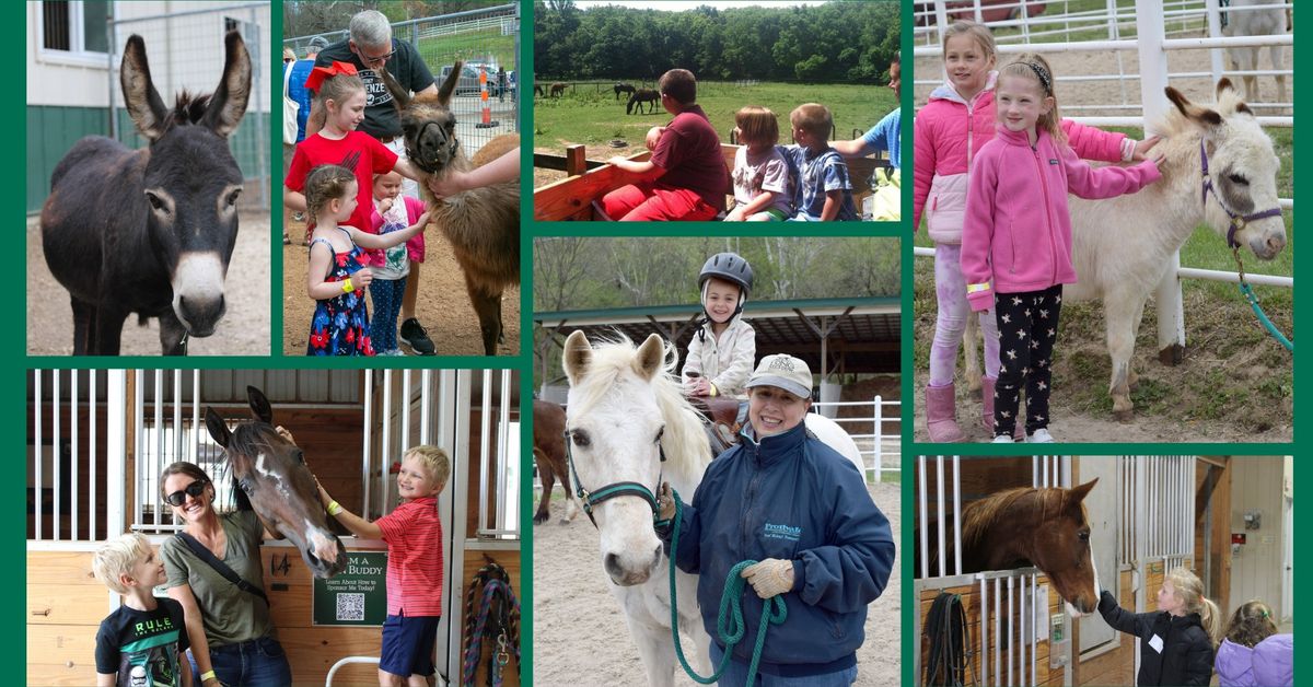 Wagon Days at Longmeadow Rescue Ranch