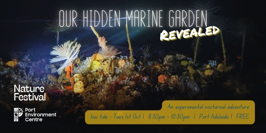 Our Hidden Marine Garden - Revealed