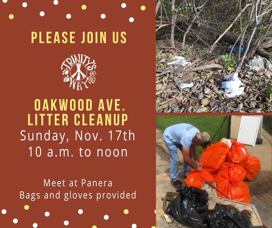 Oakwood Ave Litter Clean Up