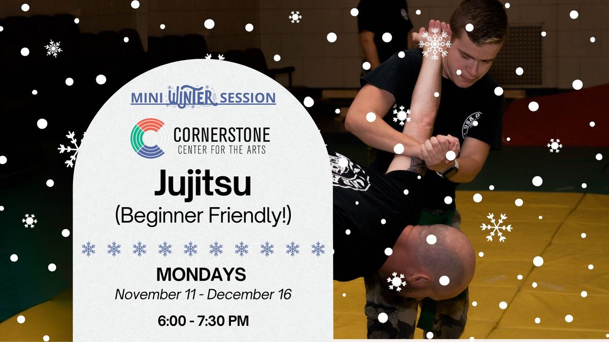 Mini Session Adult Jujitsu